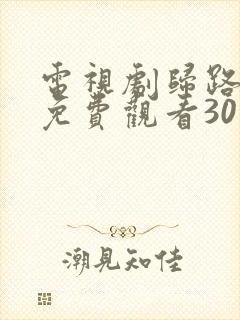 电视剧归路全集免费观看30集完整版