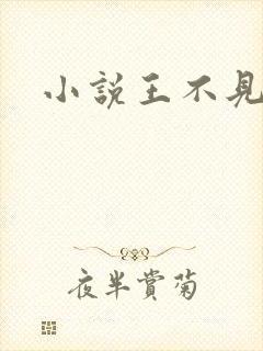 小说王不见王封面