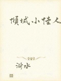 倾城小佳人封面