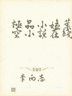 极品小姨叶凡司空小说在线阅读全文