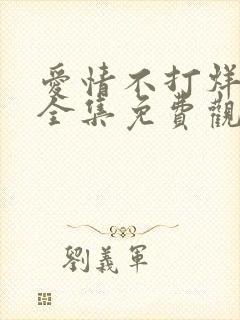 爱情不打烊短剧全集免费观看高清版