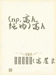 (np,高h,纯肉)高h