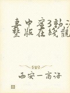 妻中蜜3动漫完整版在线观看