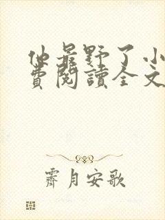 他最野了小说免费阅读全文封面