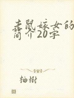 老鼠嫁女的故事简介20字封面