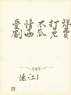 爱情不打烊电视剧西瓜免费观看