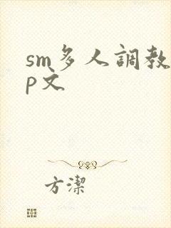 sm多人调教np文