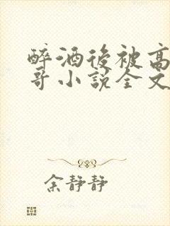 醉酒后被高冷哥哥小说全文免费阅读封面