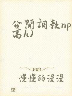 公开调教np(高h)