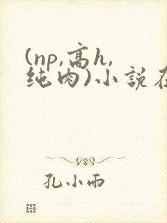 (np,高h,纯肉)小说在线阅读