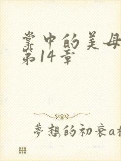 掌中的美母版主第14章