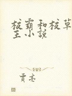 校霸和校草双男主小说封面