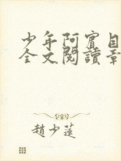 少年阿宾目录及全文阅读章节封面