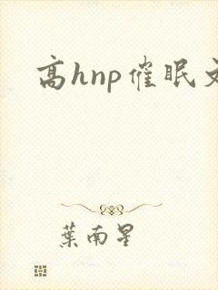 高hnp催眠文封面