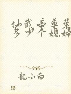 仙武帝尊叶辰有多少个媳妇