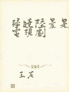 归晓陆晨是哪部电视剧