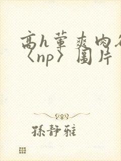 高h荤爽肉欲文〈np〉图片