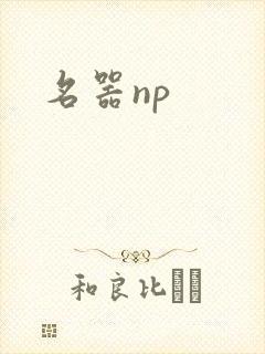 名器np