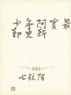 少年阿宾最新章节更新