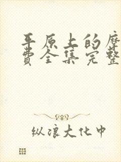 平原上的摩西免费全集完整版