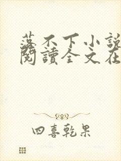 落不下小说免费阅读全文在线封面