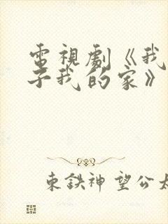 电视剧《我的孩子我的家》