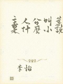 主人公叫叶尘的是什么小说