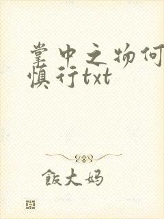 掌中之物何妍傅慎行txt