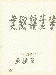 母狗钟萍后传全文阅读免费笔趣阁