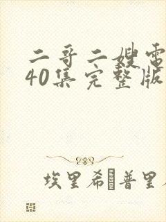 二哥二嫂电视剧40集完整版