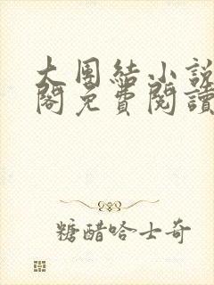 大团结小说笔趣阁免费阅读封面