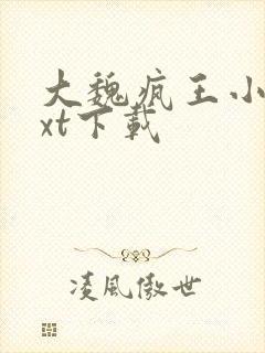 大魏疯王小说txt下载