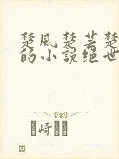 楚风楚芸楚鸿飞的小说绝世神皇全文免费阅读