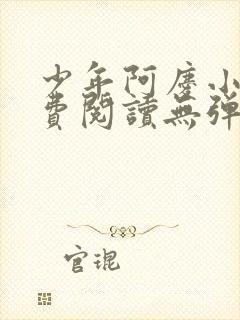 少年阿庆小说免费阅读无弹窗