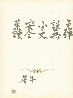 叶安小说免费阅读全文无弹窗