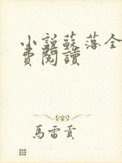 小说苏落全文免费阅读封面