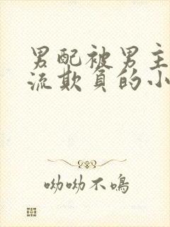 男配被男主们轮流欺负的小说笔趣阁封面