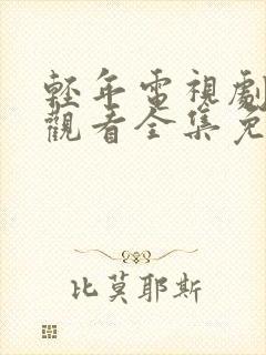 轻年电视剧在线观看全集免费高清版