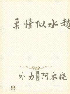 柔情似水赵雅儿