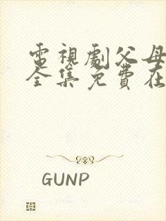 电视剧父母爱情全集免费在线观看