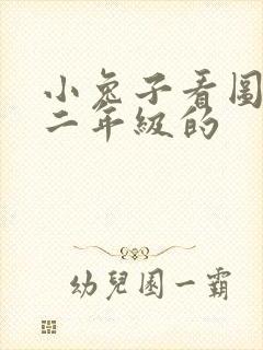 小兔子看图写话二年级的封面