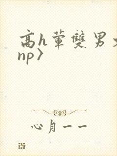 高h荤双男文〈np〉