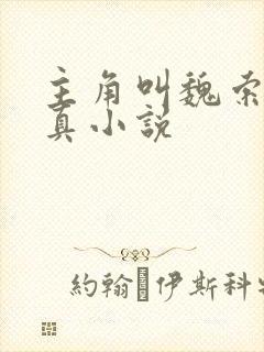 主角叫魏索的修真小说