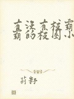 有没有校霸与学霸的校园小说