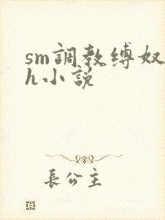 sm调教缚奴高h小说