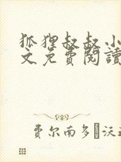 狐狸叔叔小说全文免费阅读无删减