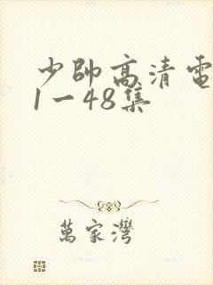 少帅高清电视剧1一48集