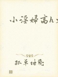 小淫妇高h文