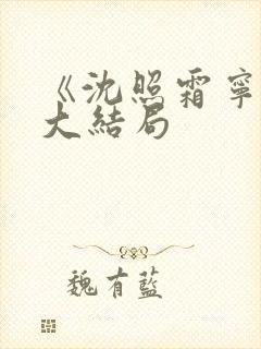 《沈照霜宁砚》大结局