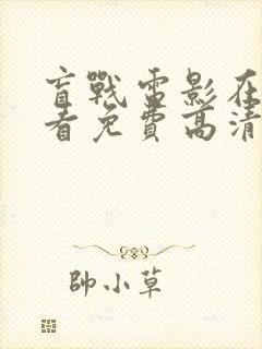 盲战电影在线观看免费高清完整版封面